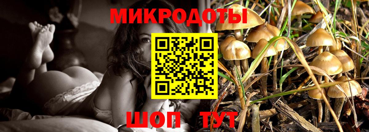 Псилоцибиновые грибы мухоморы  Вход с VPN  как найти наркотики  Ирбит 